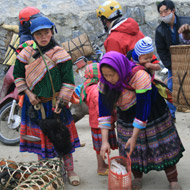 Flower Hmong at Bac Ha Sunday Market