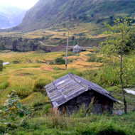 Golden rice terraces at The Pa Valley, Y Ty, Bat Xat, Lao Cai