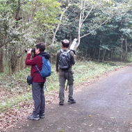 Endemic Birds of Vietnam, Endemic Bird Species in Vietnam