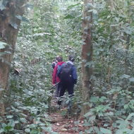 Trekking Hiking in the Jungle of Cuc Phuong National Park