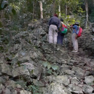 Trekking & Jungle Camping Tour at Cuc Phuong National Park - 02 Days