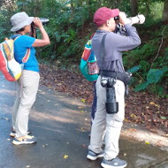 Bird Watching at Cuc Phuong National Park – 3 Days