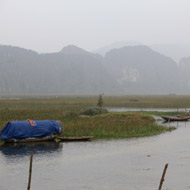 Travel Guide to Birding and Bird Species at Van Long Nature Reserve Ninh Binh