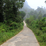 The Xuan Son National Park, Phu Tho