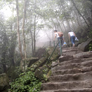 The Trail to the Summit of Yen Tu Pagoda