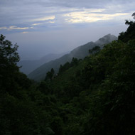 Tam Dao National Park