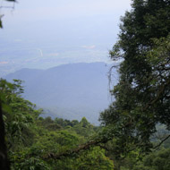 The Tam Dao National Park