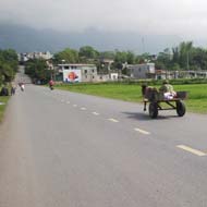 Muong Lo Valley, Nghia Lo, Yen Bai in April sunshine