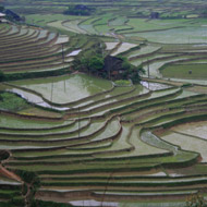 Tu Le Valley, Yen Bai, Vietnam