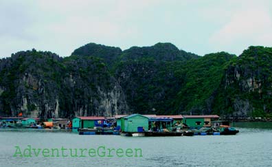 A floating village amid islands near Cat Ba Island, Hai Phong, Vietnam