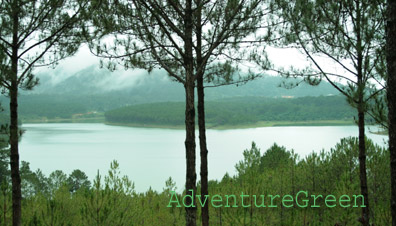 Tuyen Lam Lake Tuyen Lam Lake