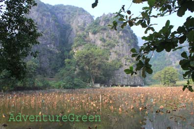 Idyllic countryside of Ninh Binh with mountains and ponds