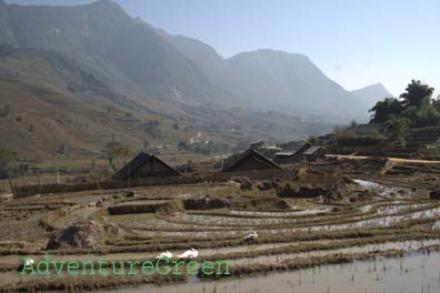 The Muong Hoa Valley at Sapa, Lao Cai, Vietnam