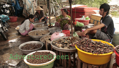 Bac Lieu fish market