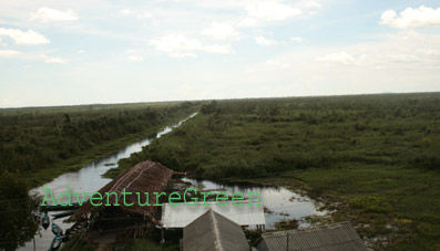 U Minh Thuong National Park