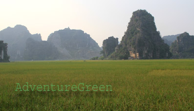 Tam Coc Ninh Binh