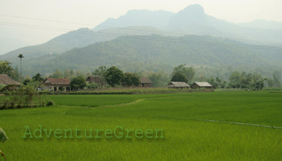 Muong Lo Valley, Yen Bai Vietnam