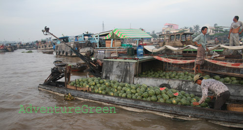 Cruising on the Mekong River