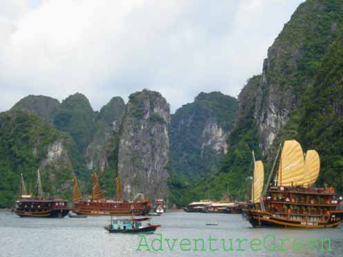 Sail boats near the Sung Sot Cave on Halong Bay