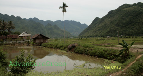 Lac Village, Mai Chau, Hoa Binh