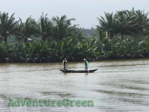 Cam Thanh coconut forest