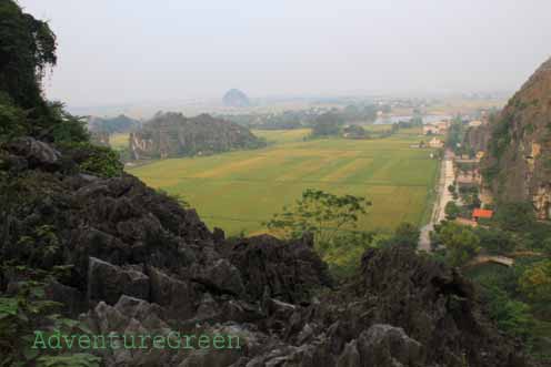 A view of the surroundings from Hang Mua at Tam Coc