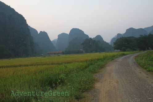 A lovely bicycle path amid rice fields and mountains to Thai Vi Temple