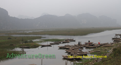 Van Long Nature Reserve in the fog