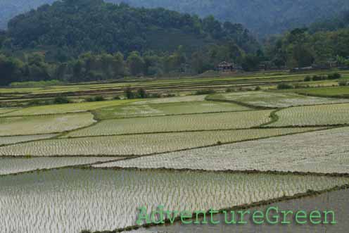 Idyllic landscape at ATK Dinh Hoa, Thai Nguyen