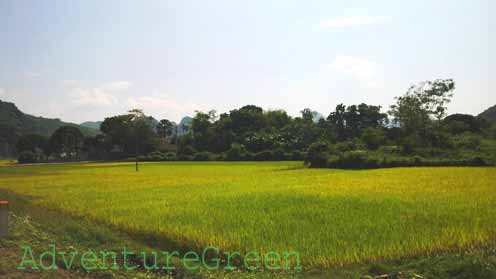 Landscape on the toll road between Thai Nguyen and Bac Kan