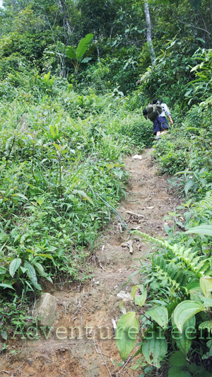 A steep path on the trek at the Ta Xua Mountain