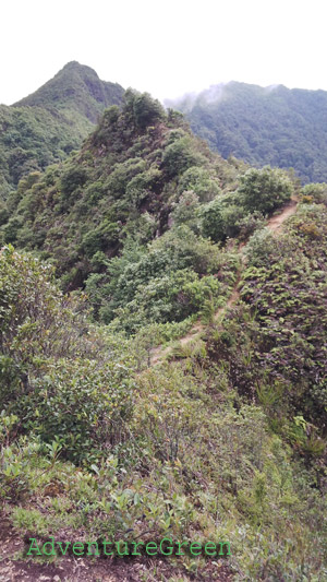 The famed Dinorsaur's Spine at the Ta Xua Mountain