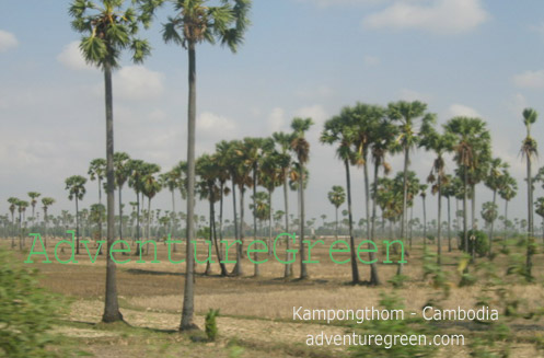 Kampong Thom Cambodia