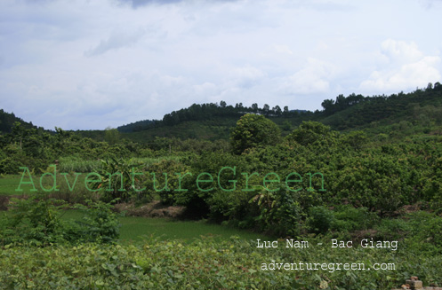 Luc Nam, Bac Giang, Vietnam