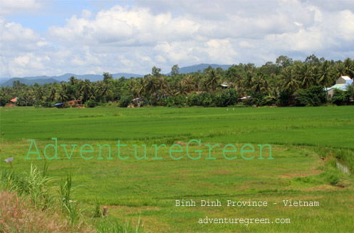 Binh Dinh - Vietnam