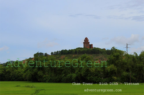 A Cham Tower in Binh Dinh Province, Vietnam