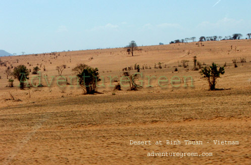 Binh Thuan Desert