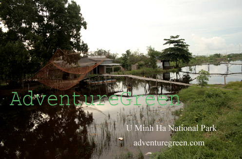 Country life at U Minh Ha