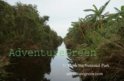 A canal in U Minh Ha National Park