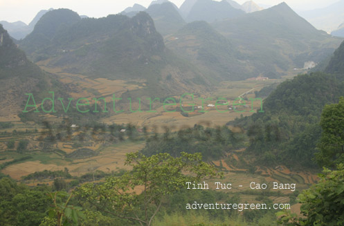 Tinh Tuc Cao Bang