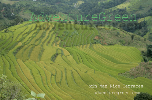 xin-man-rice-terraces