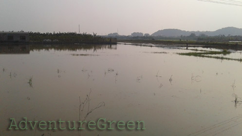 The countryside at Thuy Nguyen, Hai Phong