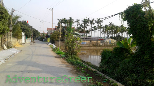 A village road at Thuy Nguyen