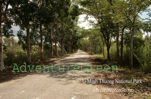 U Minh Thuong National Park