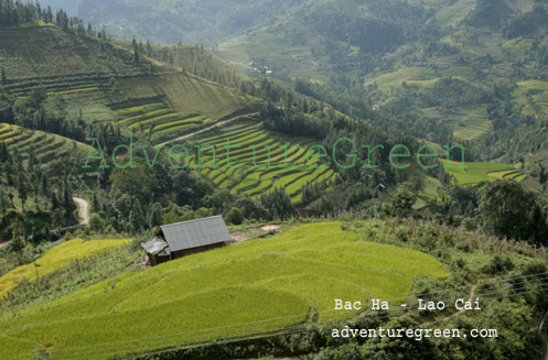 Bac Ha Lao Cai Vietnam