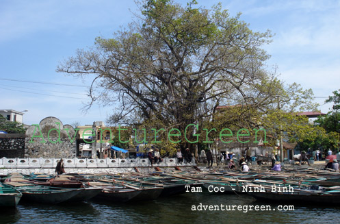 Tam Coc Ninh Binh Vietnam