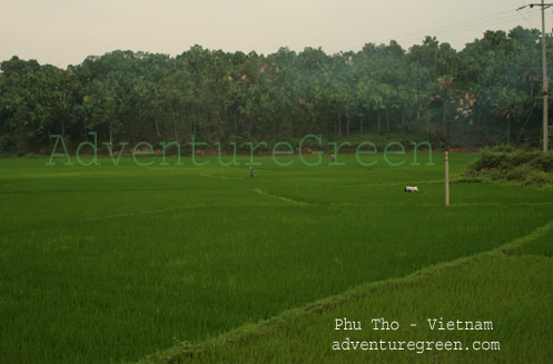 Phu Tho Vietnam