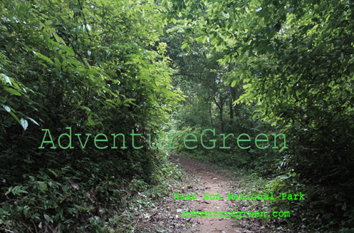 A path in the forest at Xuan Son National Park