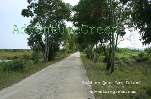 Road on Quan Lan Island