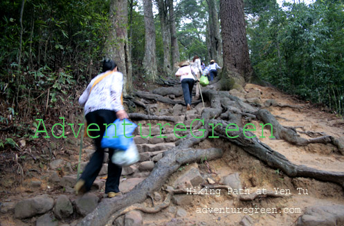 Pilgrims trekking to visit Yen Tu